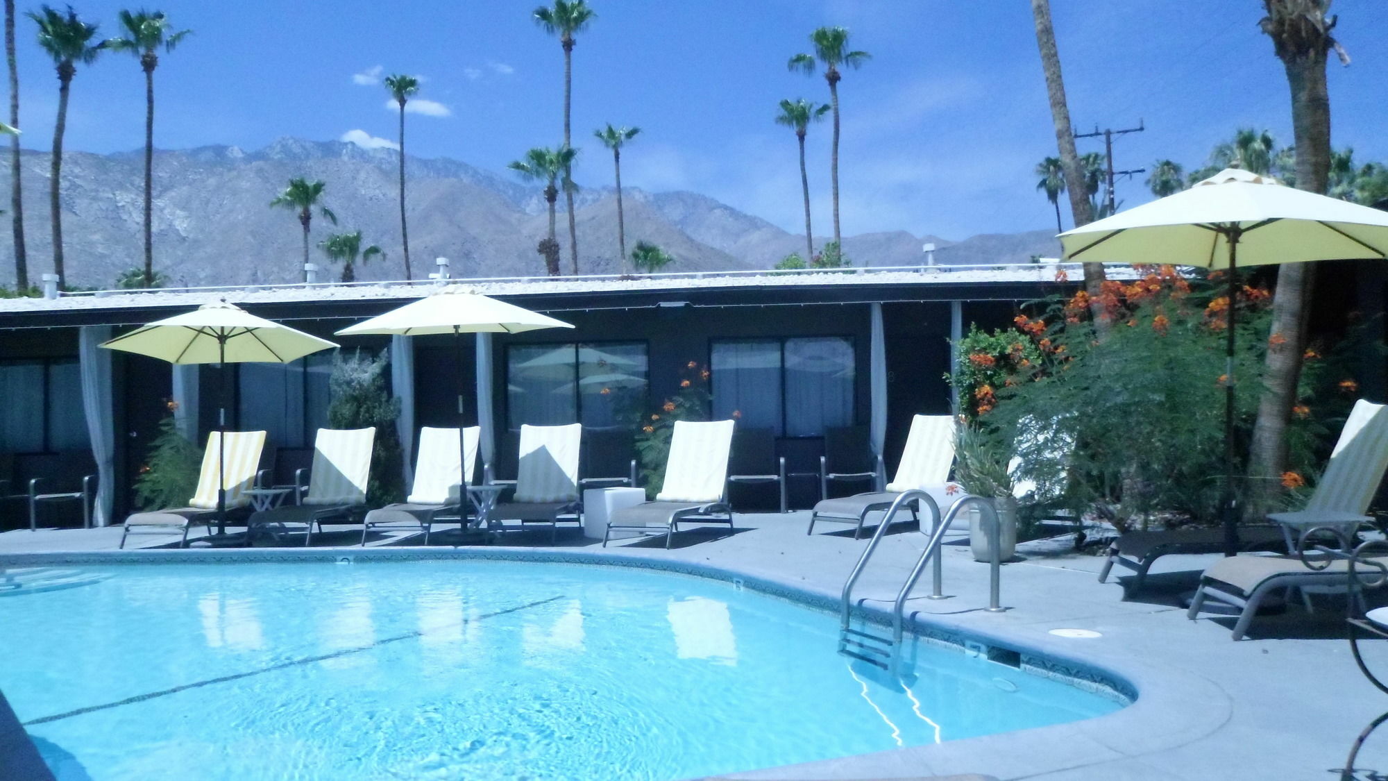Avanti Hotel Palm Springs Exterior photo