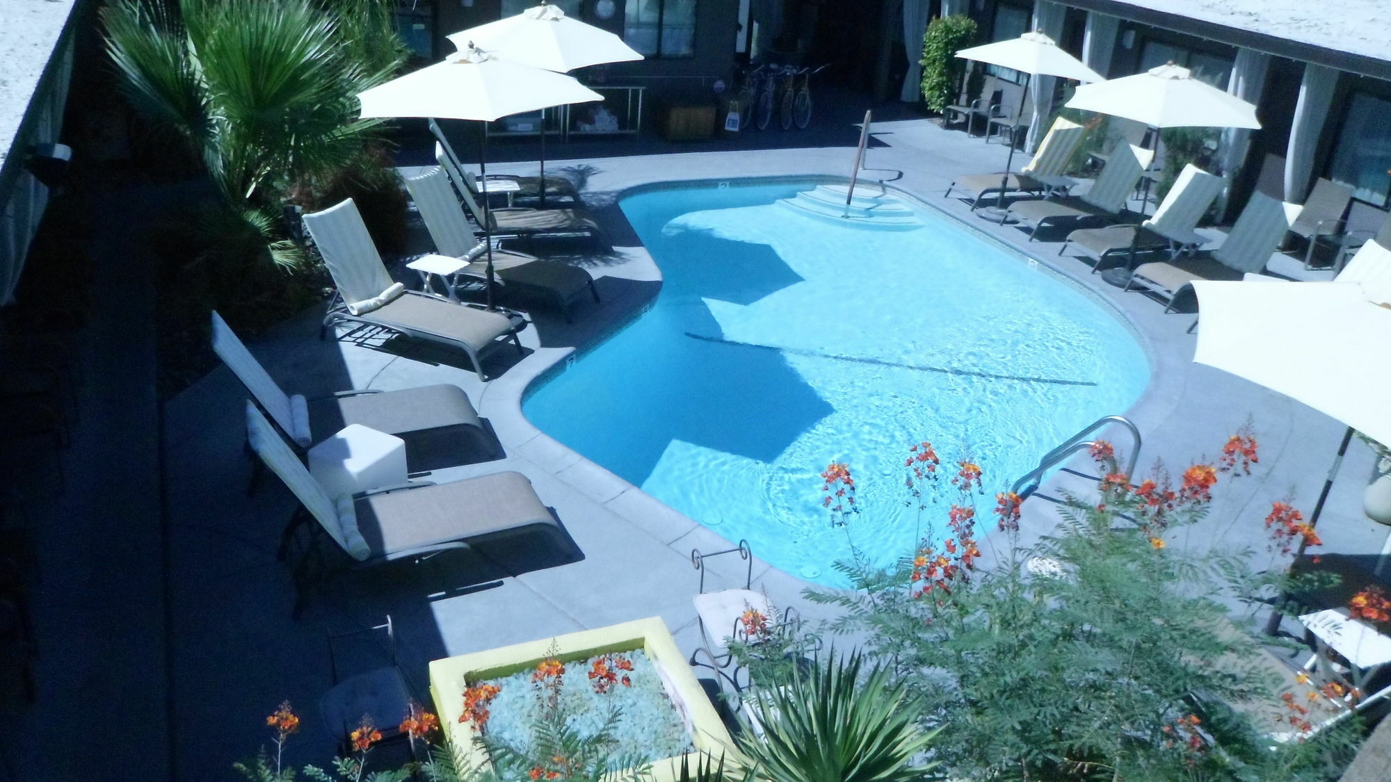 Avanti Hotel Palm Springs Exterior photo